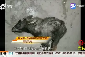 国家一级保护动物黑麂竟被做成“盘中餐”视频封面