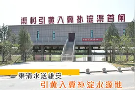 一渠清水送雄安 实拍引黄入冀补淀水源地视频封面