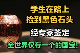 学生在路上捡到黑色石头，经专家鉴定，全世界仅存一个的国宝！