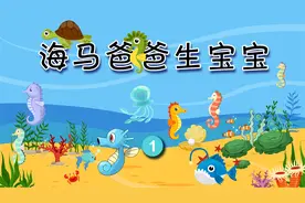 海马爸爸生宝宝1.mp4视频封面