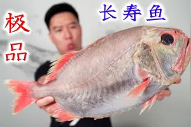 极品长寿鱼，比我爷爷年龄还大，用我秘制做法好吃到爆视频封面