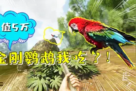 绿色地狱05:我吃了只价值5万的金刚鹦鹉 味道真的香！荆小豆解说