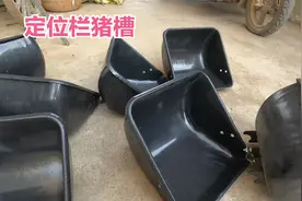 农村小伙买的定位栏猪槽到货了，安装到自制定位栏，完美搭配
