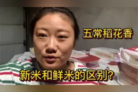 什么季节买五常大米最好吃吗？农村姑娘告诉你新米和鲜米的区别