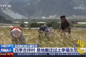 拉萨四季吉祥村异地搬迁，村民实现就业，过上幸福生活|朝闻天下视频封面
