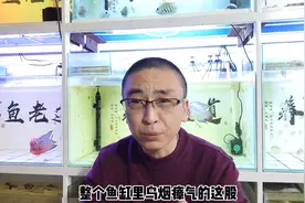 为什么鱼缸内总会有鱼腥味，原因会在哪里，如何处理为佳？视频封面