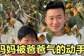 老父亲天天打麻将不着家，气得妈妈直接动手，场面一度难以控制视频封面