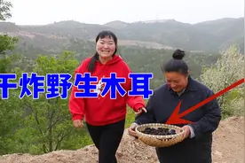 木耳原来还可以这样吃，打几个鸡蛋加一把淀粉，酥酥脆脆太香了！视频封面