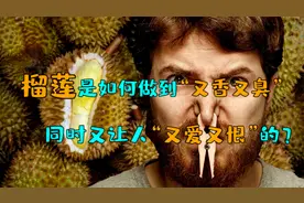榴莲为啥有人爱又招人厌，科学家用基因测序，揭开榴莲气味的秘密