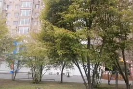 圣人的真实处境：贫居闹市无人问（节选）视频封面