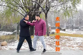 庞恒国师傅一语道破，内家拳的螺旋与缠丝劲视频封面