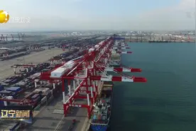 我省制定系列措施落实《辽宁沿海经济带高质量发展规划》视频封面