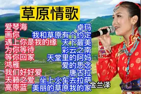 好听的草原情歌18首大联唱