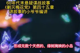 60年代末期悬疑间谍故事《剿灭梅花党》第四十五章视频封面