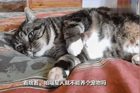 搞笑视频：兄弟看啥呢？说话呀看什么呢？这也没有东西你看什么呢视频封面