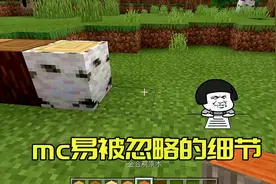 我的世界：mc中容易被忽略的细节，将物品栏放大，会有惊喜！