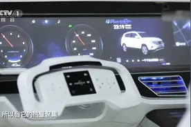 新能源车主注意！新能源车长时间充电可能引发自燃视频封面