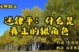 经典散文《述律平：什么是真正的狠角色》文武能安邦富国克敌制胜视频封面