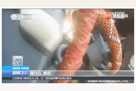 男子遇交警查车，一句“1990年属猴”揪出真相，网友：太笨了