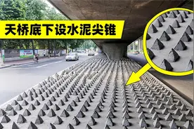 想赶走流浪汉，在天桥下设置水泥尖锥？椅子长出钢钉？这做法对吗视频封面