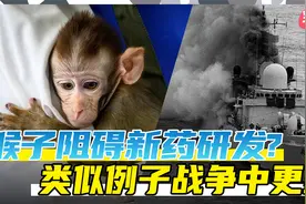 猴子阻碍中国创新药研发？ 真事！类似例子战争中更多视频封面