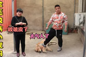 小虎妈妈喂金毛时被咬破手，虽说是自家的狗，你们说用打疫苗吗？视频封面