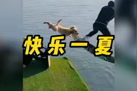 准备好和你的好朋友迎接这个夏天了吗?视频封面