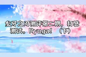 龙牙之刃测评第二期，打感测试。Ryuga！（下）【转载】