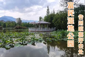 风景迷人却游客稀少的富民湿地公园，昆明周边半小时出游的好去处