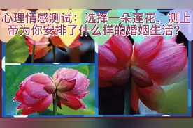 心理情感测试：选择一朵莲花，测上帝为你安排什么样的婚姻生活？视频封面