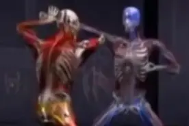 人体的这个部位非常脆弱，遇到歹徒，打这里让他失去反抗能力！