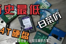 400元买4TB硬盘，简直就是白菜价！固态硬盘已在瑟瑟发抖！视频封面