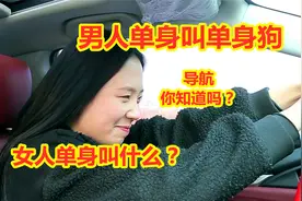 男人单身叫单身狗，那女人单身叫什么呢？导航的解释太到位了视频封面