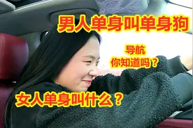 男人单身叫单身狗，那女人单身叫什么呢？导航的解释太到位了视频封面