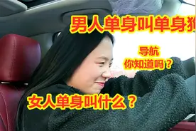 男人单身叫单身狗，那女人单身叫什么呢？导航的解释太到位了视频封面