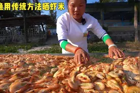 出海捕虾大丰收，小渔用传统方法做虾米，原来流程这么复杂视频封面