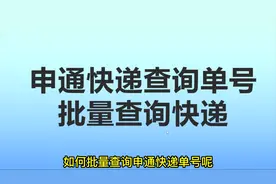 申通快递速查单号查，教你如何快速查询物流跟踪实时定位视频封面