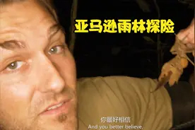 野性之夜：亚马逊雨林探险，偶遇森王蛇，世界上最长的无毒蛇类视频封面