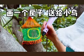 用3D打印笔画个房子，送给小鸟视频封面