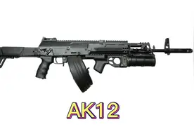 AK12-一波三折 命运多舛 ak12的前世今生视频封面