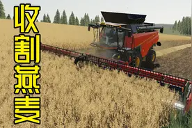 模拟农场19：一夜之间，燕麦成熟，飞机施肥效果明显视频封面