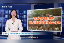 农业农村部发布通知，重点提及养猪业3大补助！大部分人都能领？视频封面