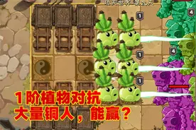 PVZ2：功夫世界24天传送带，1阶植物也能轻松通关！