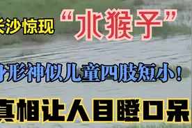 长沙惊现“水猴子”？身形竟然像儿童四肢短小！究竟是怎么回事？视频封面