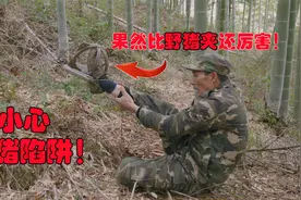 深山意外发现“野猪陷阱”！大叔说：这东西比野猪夹子厉害十倍视频封面