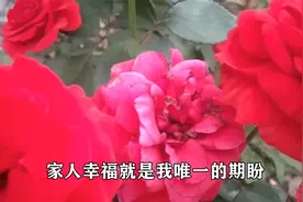 过了这个年纪，一定要听听这首歌，唱出了人生，句句都是无奈！视频封面