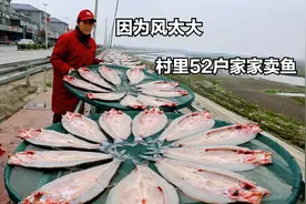 湖南大姐做盐干鱼，活鱼现腌不能洗，因为风大，村里52户都卖鱼