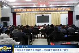 甘肃庆州发展投资集团有限公司组建方案讨论会议召开视频封面