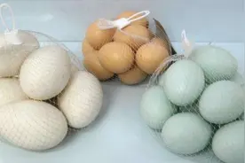 吃了这么多年才清楚，鸡蛋、鸭蛋、鹅蛋的区别这么大，不懂亏大了视频封面