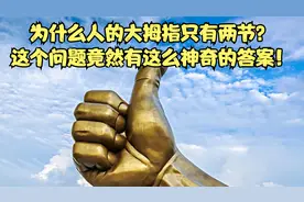 为什么人的大拇指只有两节？这个问题竟然有这么神奇的答案！